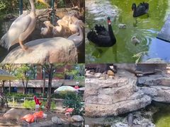 -灵玲国际马戏城