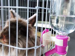 -UltraForce超源健身私教工作室(长楹天街精品店)