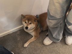 -三目仓咖啡(贤南路店)