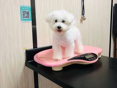 -安安宠医宠物医院·异宠·犬猫内科(岳阳分院)