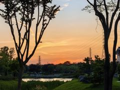 -王借岗森林公园