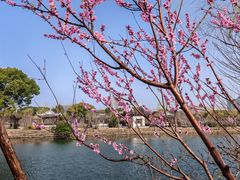 -无锡蠡湖国家湿地公园-蠡园