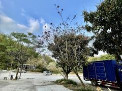 -华连射击俱乐部