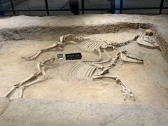 -洛阳周王城天子驾六博物馆