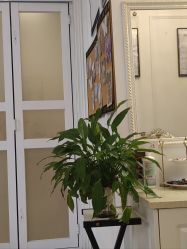 -香秀空间科技抗衰·美容中心