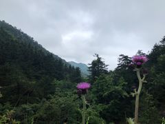 -花溪风景区