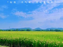 -良渚古城遗址公园