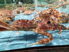 -云庭汇·粤菜海鲜(东盟盛天地店)