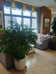 -北京米扬丽格医疗美容·联合丽格鼻整形中心