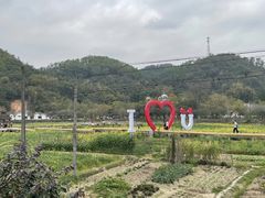 -红山村