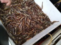 -王庄市场