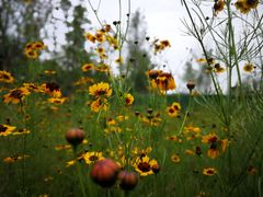 -白鹭湾湿地公园