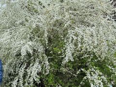 -中国茶叶博物馆(双峰馆区)