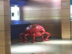 -上海昆虫博物馆