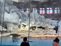 -帝企鹅自助餐厅•儿童岛•真企鹅(长隆企鹅酒店)