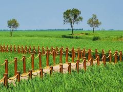 -黑龙江扎龙生态旅游区