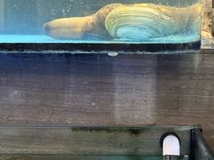 -金海湾海鲜总店