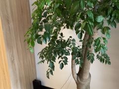 -墨客悦庭酒店(长沙麓谷涉外经济学院店)