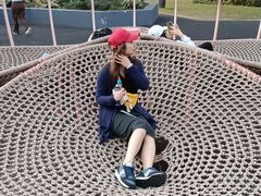 -布里斯班南岸公园
