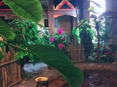 -泉城欧乐堡戏水湾艺术养生温泉