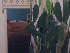 -拾壹cafe·工作室