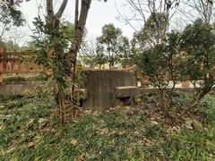 -上海市青苹果幼儿园(欧泊园)