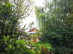 -郑州银基黄帝宫御温泉