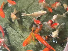 -惠食佳(滨江大公馆店)