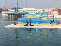 -秦皇岛乐岛海洋王国