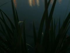 -美兰湖景区