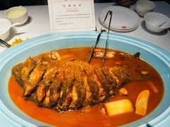 -阿五黄河大鲤鱼(纬三路店)