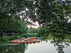 -西溪国家湿地公园