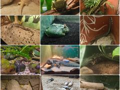 -上海大自然野生昆虫馆
