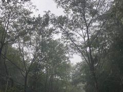 -千岛湖九龙溪漂流