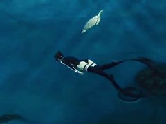 -苏州海洋馆