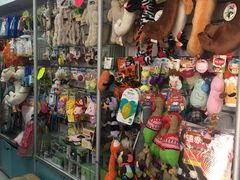 -北京观赏动物医院·24小时大型综合·猫专科·异宠专科