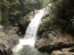 -九龙江国家森林公园