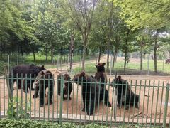-秦皇岛野生动物园