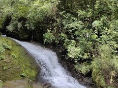 -鹿院坪生态旅游景区