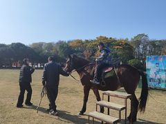 -合肥三国新城遗址公园