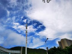 -波记美食店·现捞海鲜