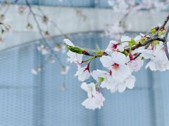 -龙美术馆(西岸馆)