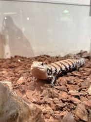 -Zoolung Zoolung动物主题公园(海信广场店)