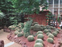 -北京呀路古热带植物园