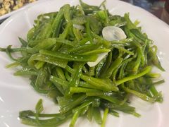 -泸沽肴(泸沽湖大洛水村农村信用社旁店)