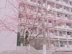 -大连外国语大学(旅顺校区)