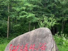 -五营国家森林公园