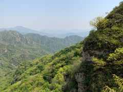 -大岭沟猕猴桃谷风景区