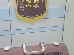 -中农国际动物医院24小时·猫科·骨科·急重症中心