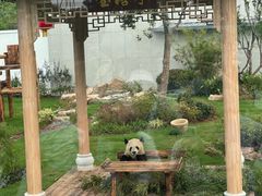 -无锡动物园·太湖欢乐园